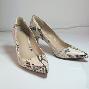 Leather Ann Taylor Snakeskin Heels